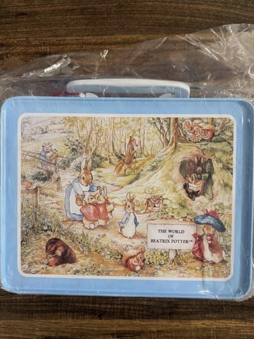 Vintage 1998 Beatrix Potter Peter Rabbit & Friends Metal Lunch Box